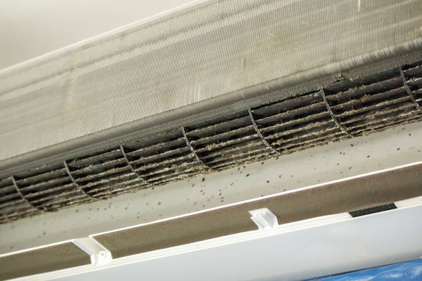 Best Affordable HVAC Duct Cleaning  in Runge, TX